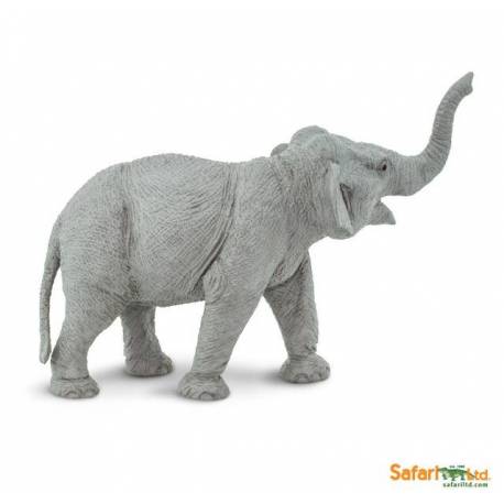 Asiatischeer Elefant