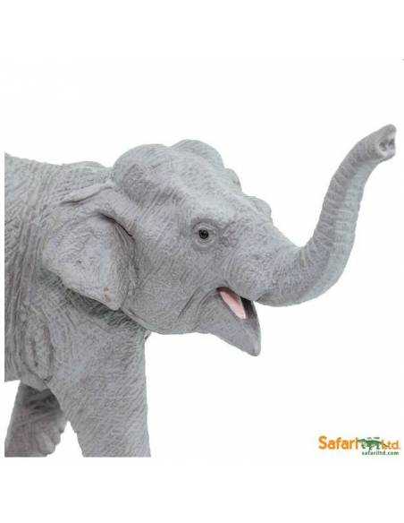 Elefante asiático  Animales Grandes