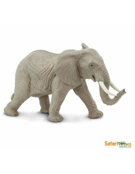Elefante Africano  Animales Grandes