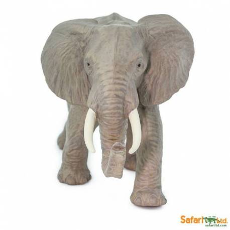 Elefante Africano  Animales Grandes