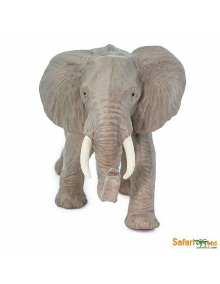 Elefante Africano  Animales Grandes