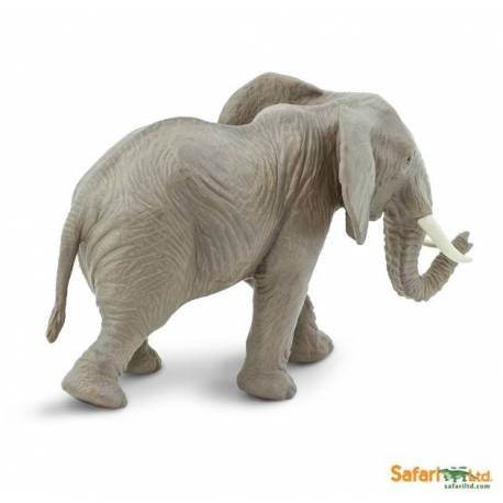 Elefante Africano  Animales Grandes