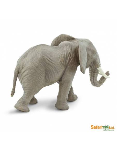 Elefante Africano  Animales Grandes