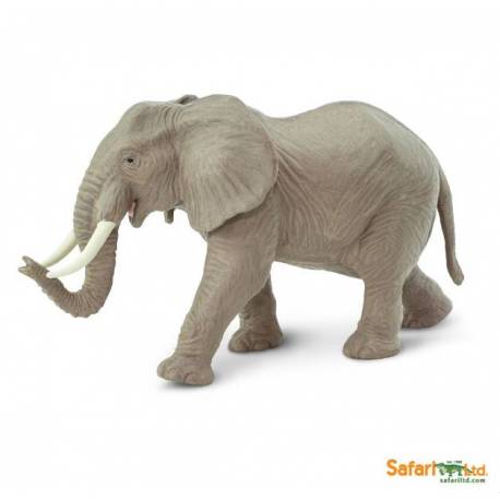 Elefante Africano  Animales Grandes