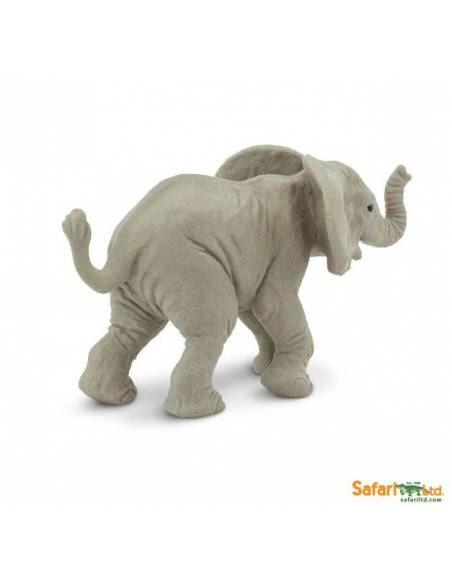 Afrikanisches Elefantenbaby trotend