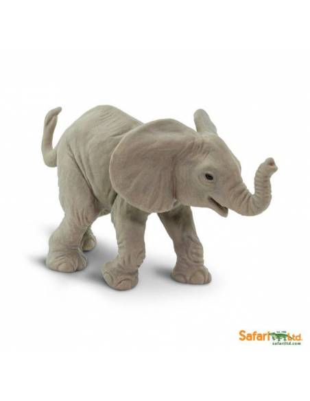 Afrikanisches Elefantenbaby trotend