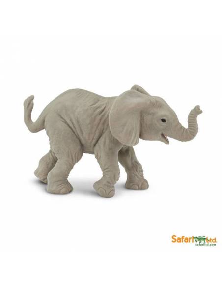 Afrikanisches Elefantenbaby trotend