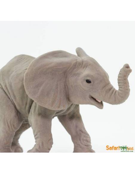 Cría elefante africano  Animales Grandes
