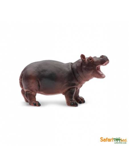Cría hipopótamo  Animales Grandes