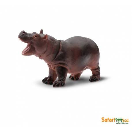 Cría hipopótamo  Animales Grandes