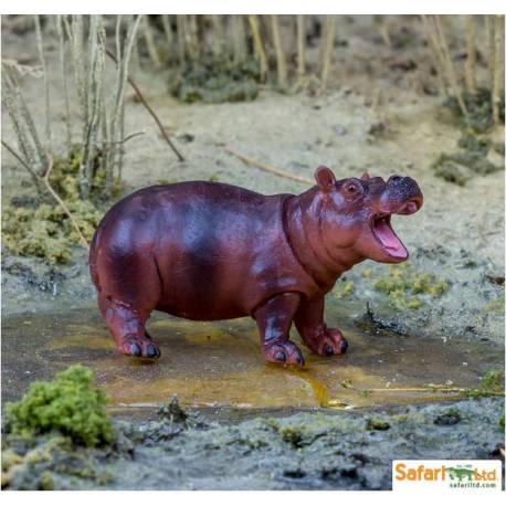 Cría hipopótamo  Animales Grandes