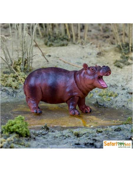 Cría hipopótamo  Animales Grandes