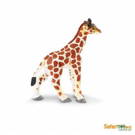 Giraffenbaby