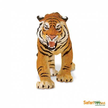 Bengalischer tiger 2