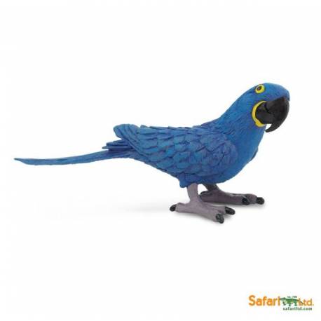 Guacamayo azul  Animales Grandes