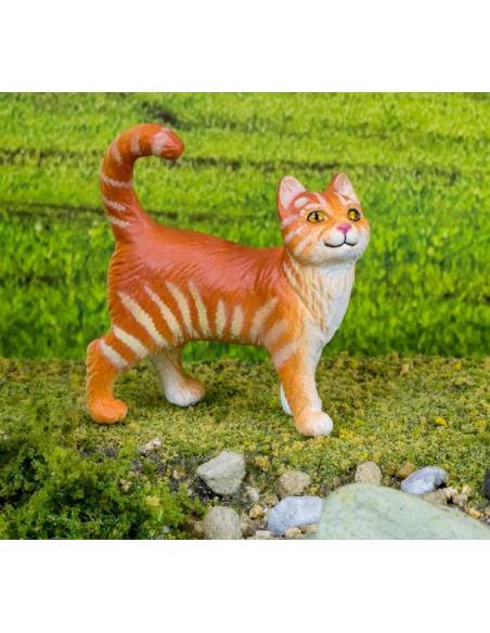 Getigerte Katze