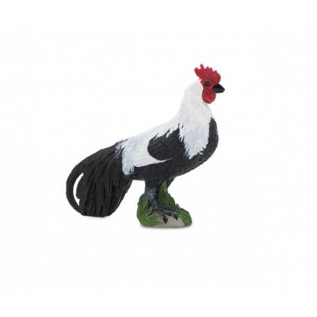 Gallo Phoenix  Animales Grandes