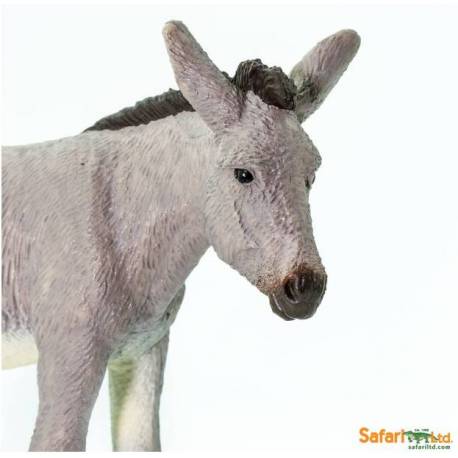 Burro  Animales Grandes