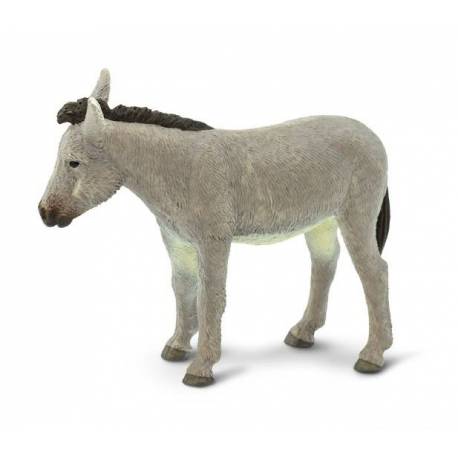 Burro  Animales Grandes