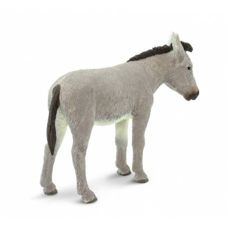 Burro  Animales Grandes