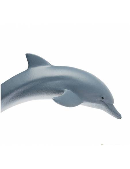 Delfin