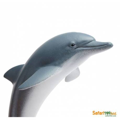 Delfin