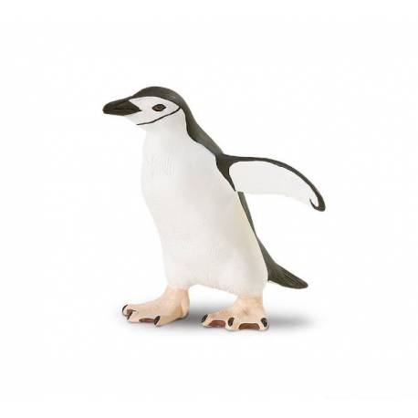 Kinnriemenpinguin