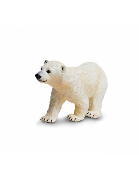 Cría oso polar  Animales Grandes