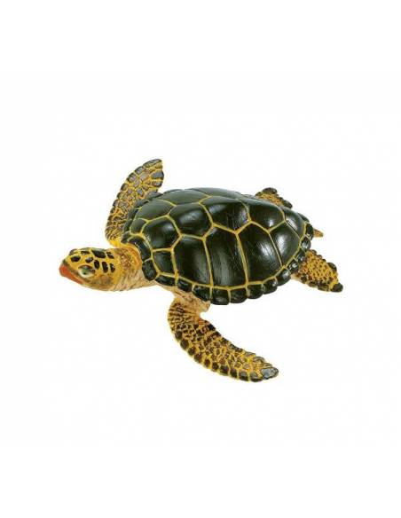 Tortuga de mar  Animales Grandes