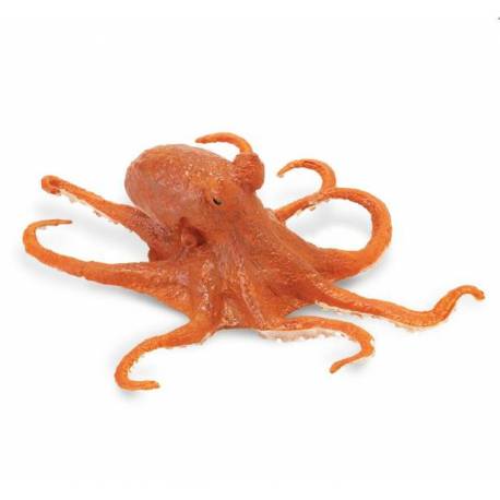 Oktopus