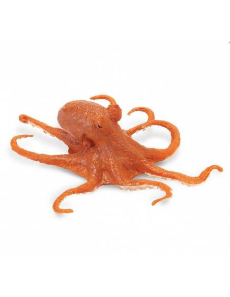 Oktopus