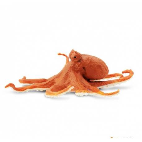 Oktopus 2