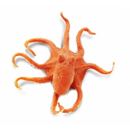Oktopus