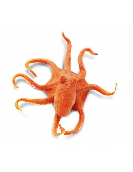 Oktopus