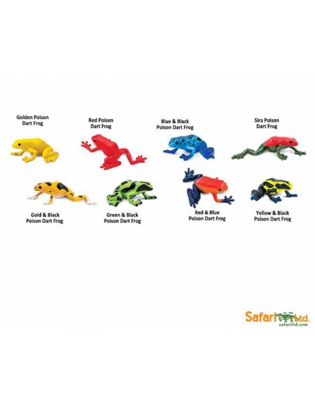 Ranas Venesosas