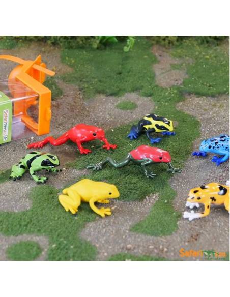 Ranas Venesosas
