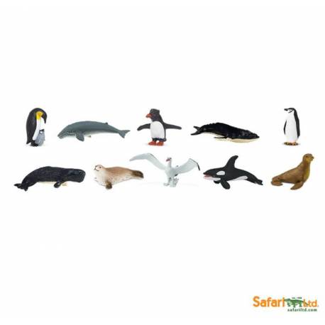 Antártida  Toobs Animales