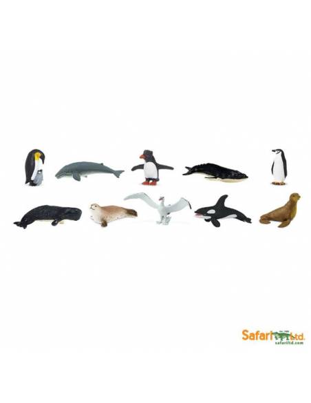 Antártida  Toobs Animales Antártida  Toobs Animales