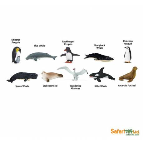Antártida  Toobs Animales
