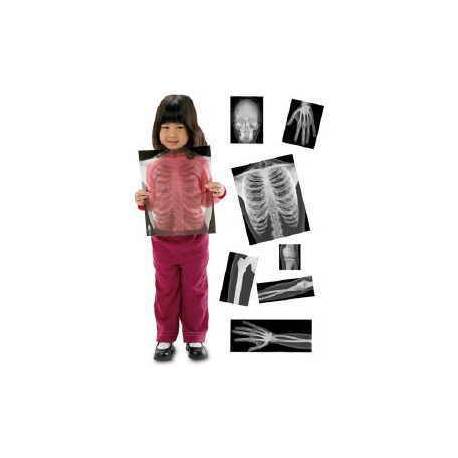 Rayos-X Cuerpo Humano Roylco Ciencia y medio ambiente