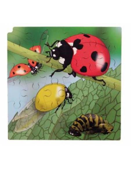 Puzzle Mariquitas y Orugas