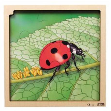 Puzzle Realidad Aumentada - Ciclo de la Mariquita Roylco Puzzles
