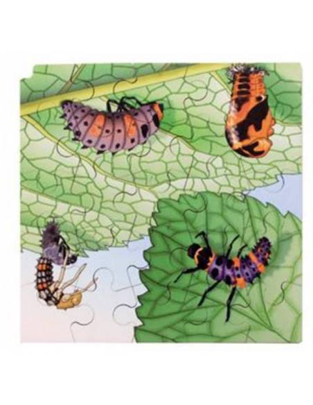 Puzzle Mariquitas y Orugas