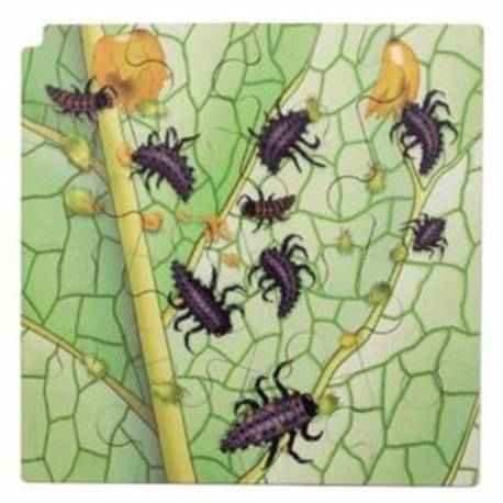 Puzzle Mariquitas y Orugas