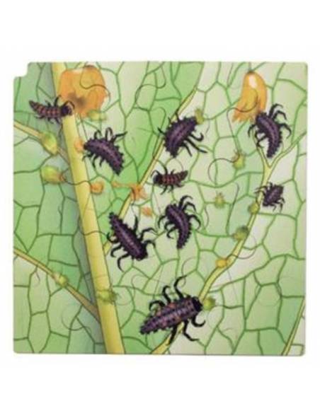 Puzzle Mariquitas y Orugas