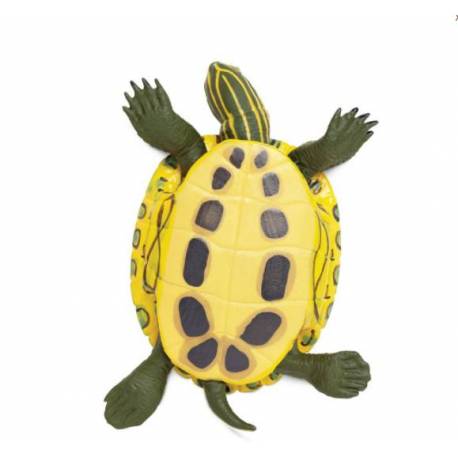 Tortuga de Orejas Rojas (grande)  Animales Grandes