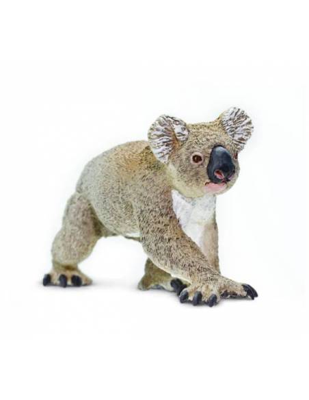 Koala  Animales Grandes