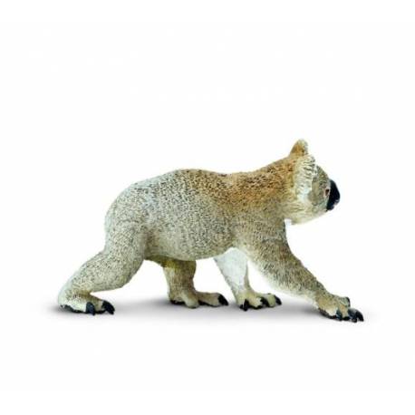 Koala  Animales Grandes