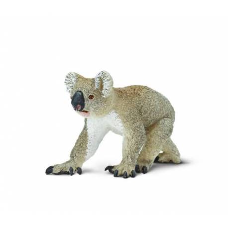 Koala  2