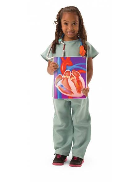 Tarjetas de Mi Cuerpo en Acción